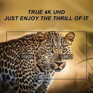 Leopard photo split to compare 1080P and 4K; text reads True 4K UHD