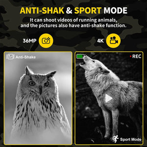 Black and white owl photo and wolf video taken in night mode